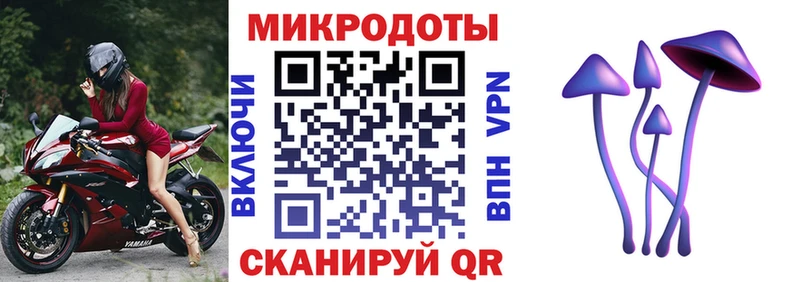 mega онион  Богородск  Галлюциногенные грибы Psilocybe  как найти закладки 